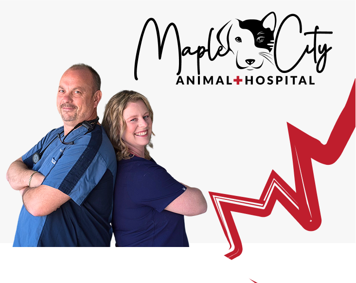 Maple City Animal Hospital
