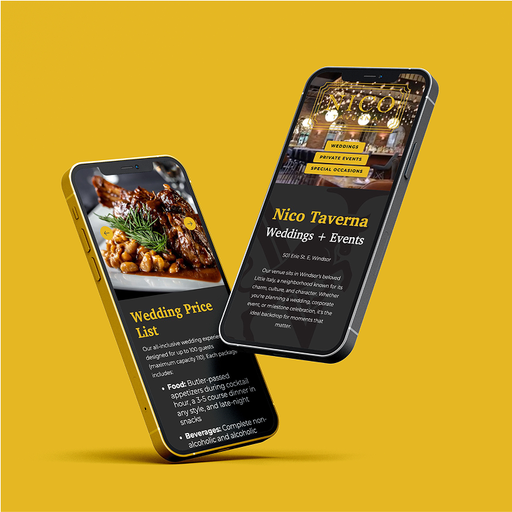 Nico Taverna Website on Phone Screen