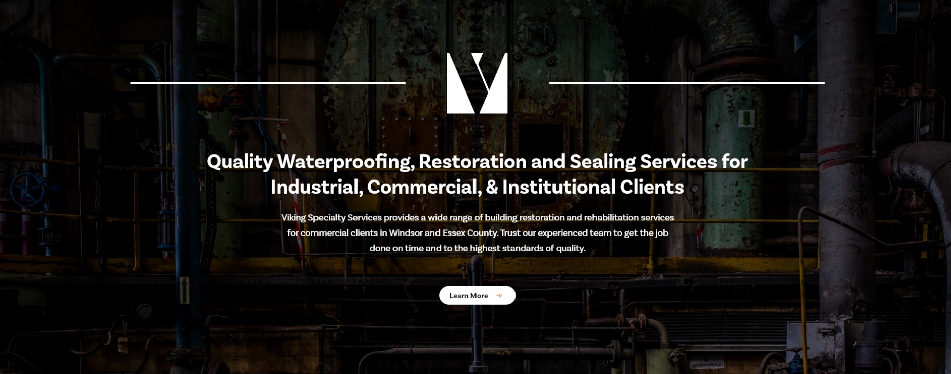 Viking Specialty Services - Homepage