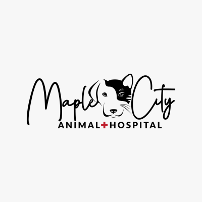 Maple City Animal Hospital